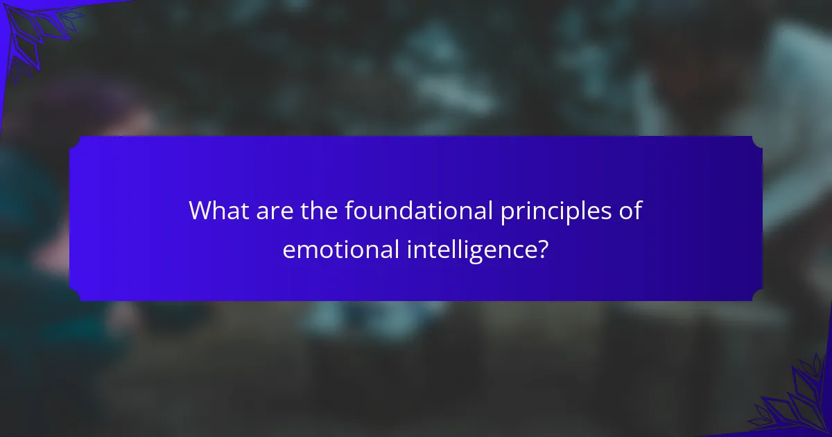 What are the foundational principles of emotional intelligence?