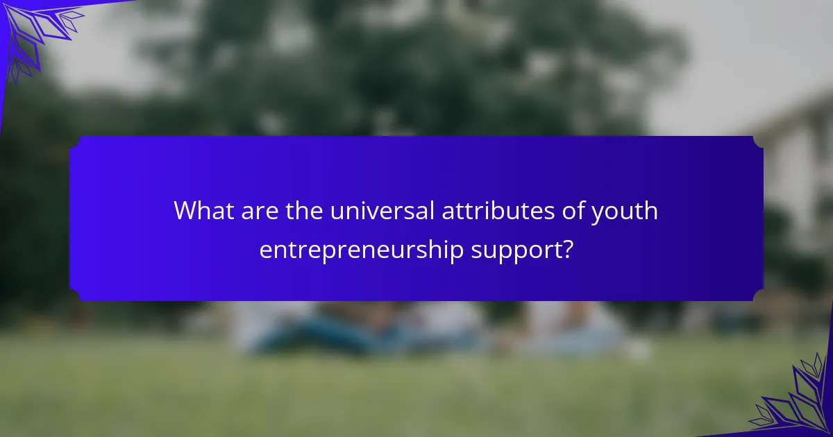 What are the universal attributes of youth entrepreneurship support?